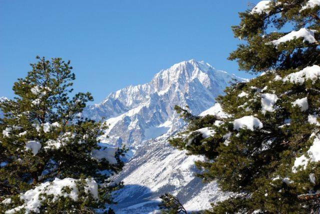 Appartamento Monte Bianco La Salle Zewnętrze zdjęcie